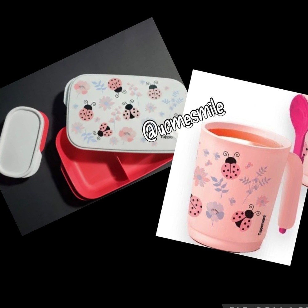 Tupperware Ilumina Freestyle Ladybug w/Hang On Spoon and Lunch Box Set